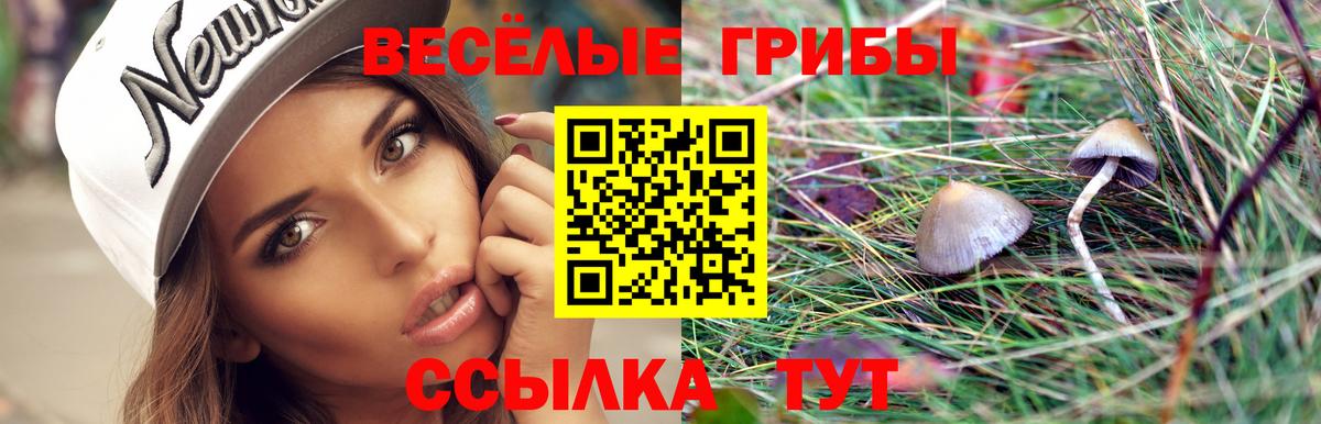 Псилоцибиновые грибы Psilocybe  Вход с VPN  Улан-Удэ  Псилоцибиновые грибы прущие грибы 